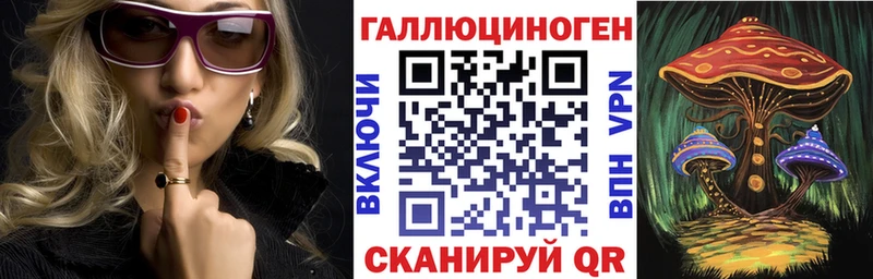 купить наркотик  сайты даркнета состав  Галлюциногенные грибы MAGIC MUSHROOMS  Орехово-Зуево 